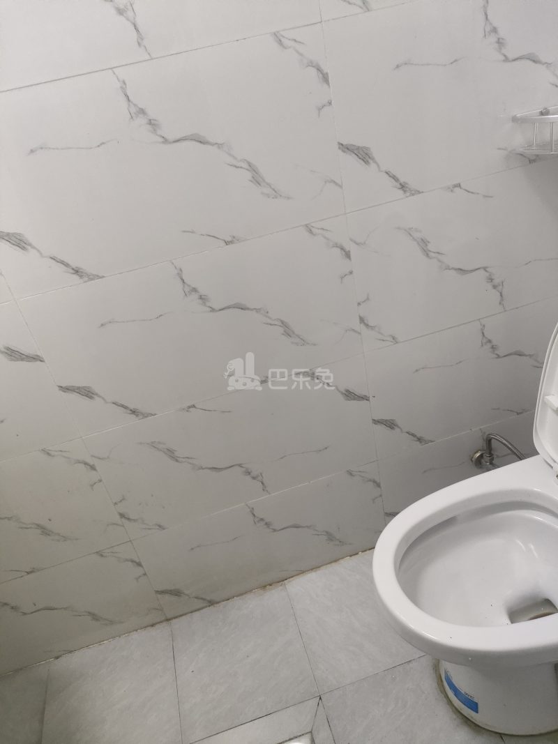 卸紫家园6695586卫生间图4