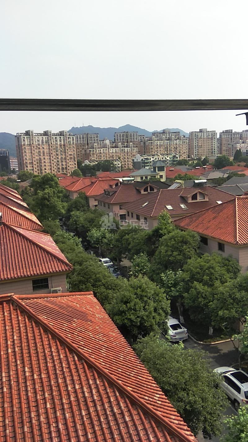 文化新村6722392周边环境图9