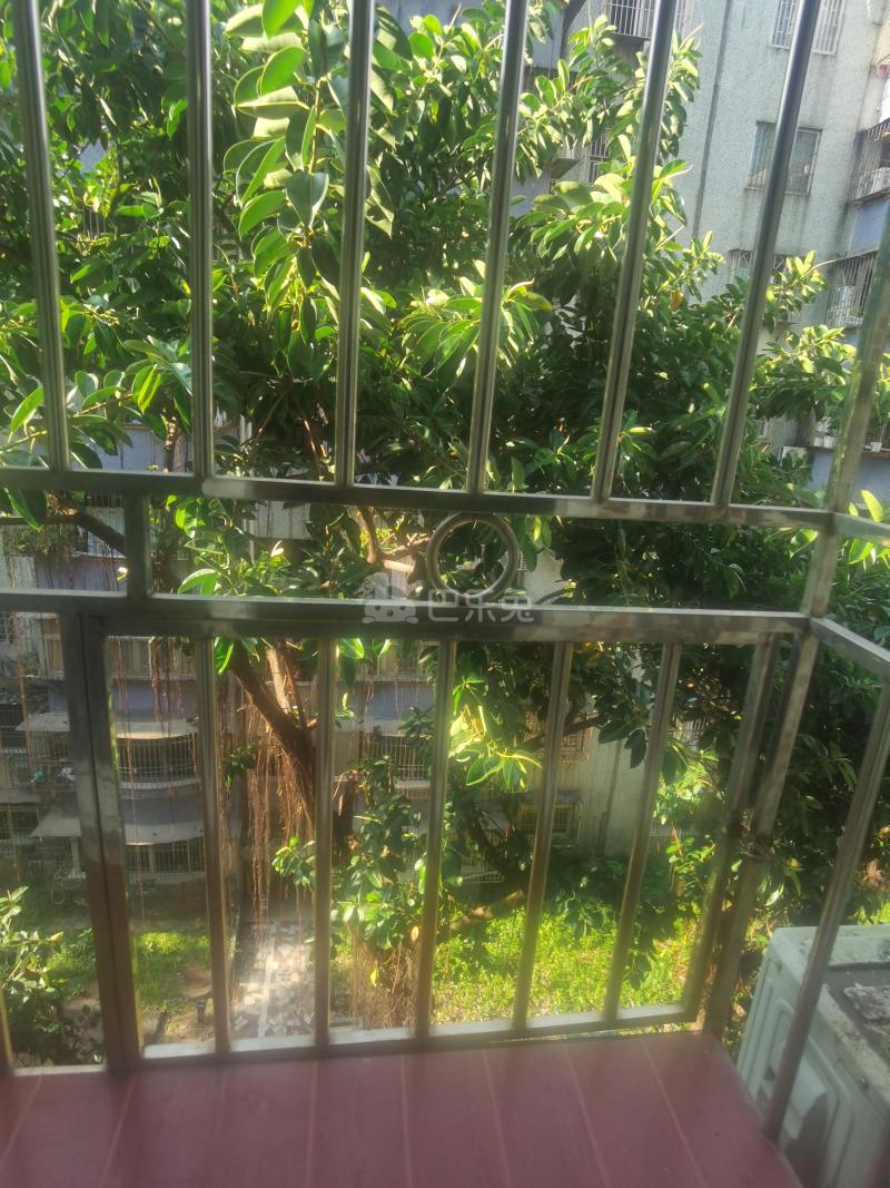 沙河荔园新村6726100周边环境图7