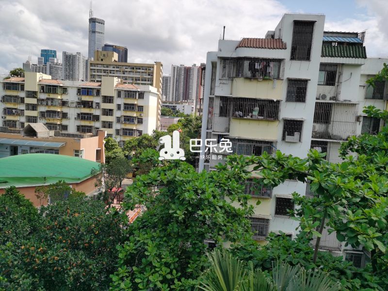 深圳福田_华新村_1室0厅0卫_合租朝东南_红荔路3008号-深圳巴乐兔租房