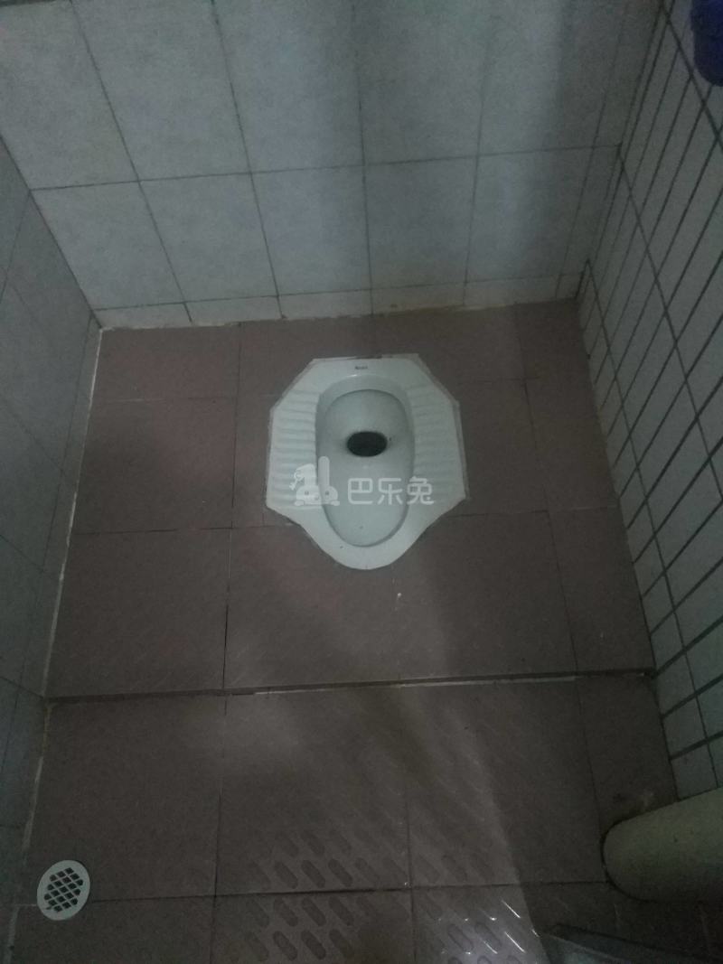 下元岗东街四巷2号6748407卫生间图9