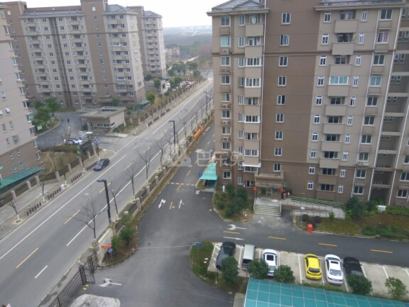 滨浦新苑九村17279213周边环境图3