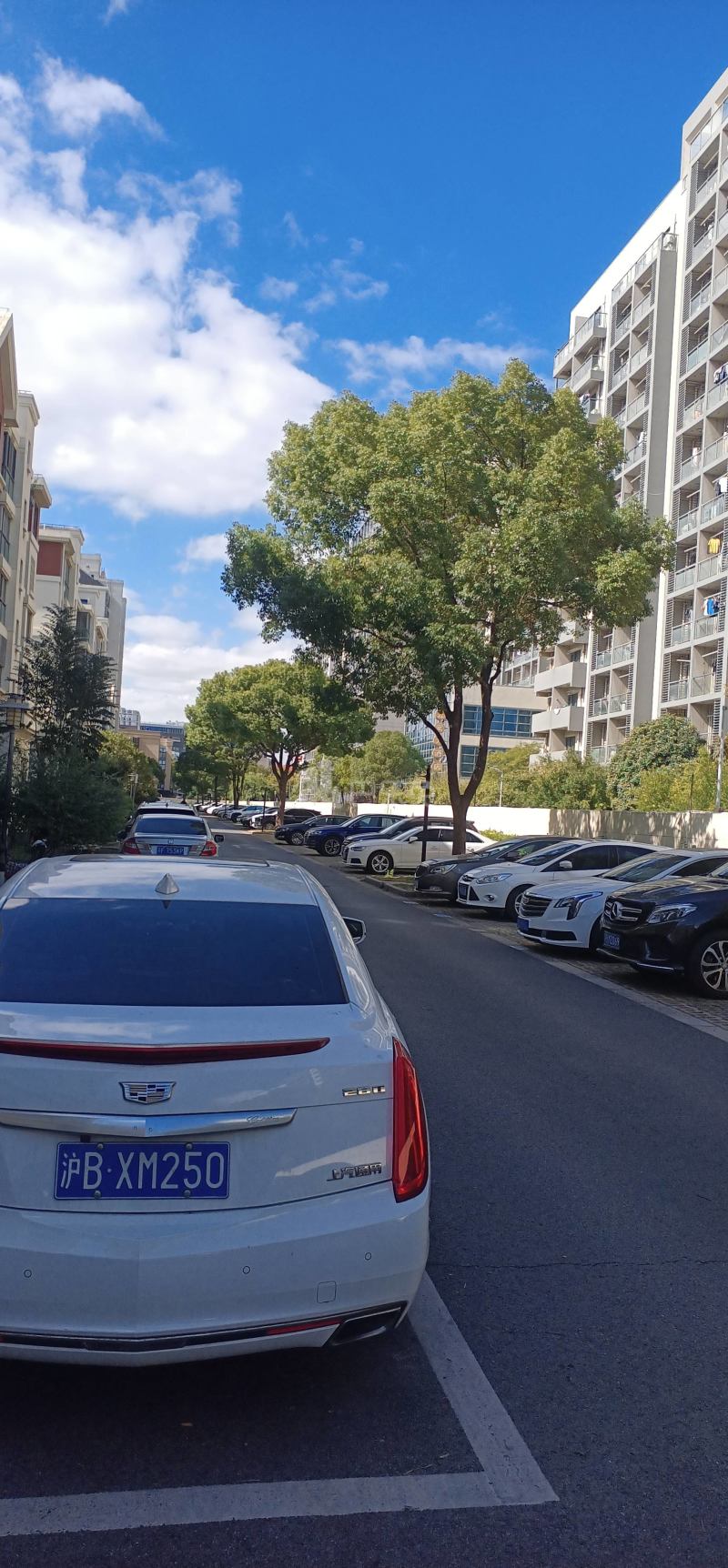 宝地绿洲城北区（宝地绿洲城二期）6763229周边环境图23