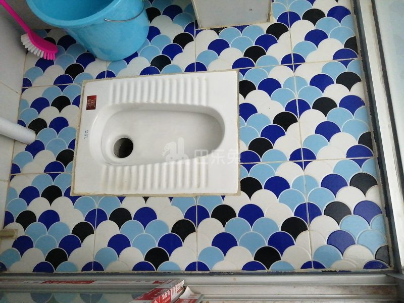 东园小区东区6765883卫生间图4