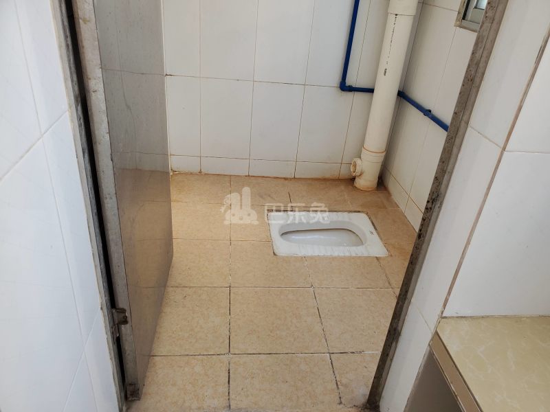 长湴新村西五街19号6785979卫生间图4