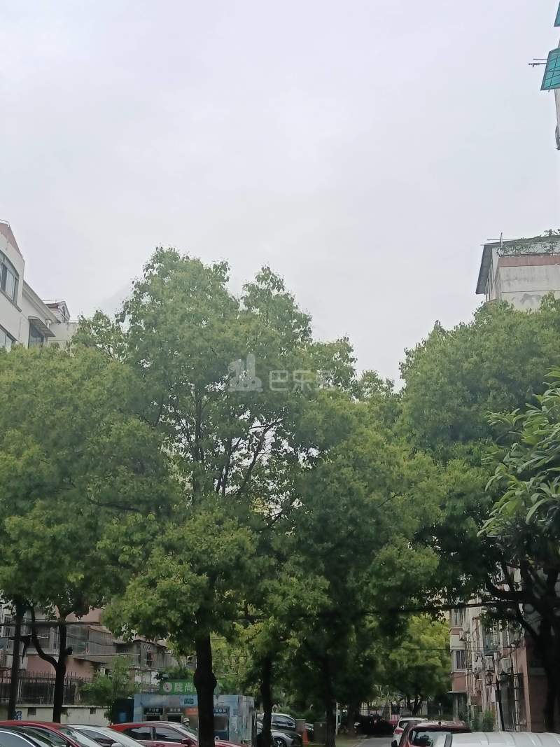 罗阳五村莲盛花苑6787921周边环境图11