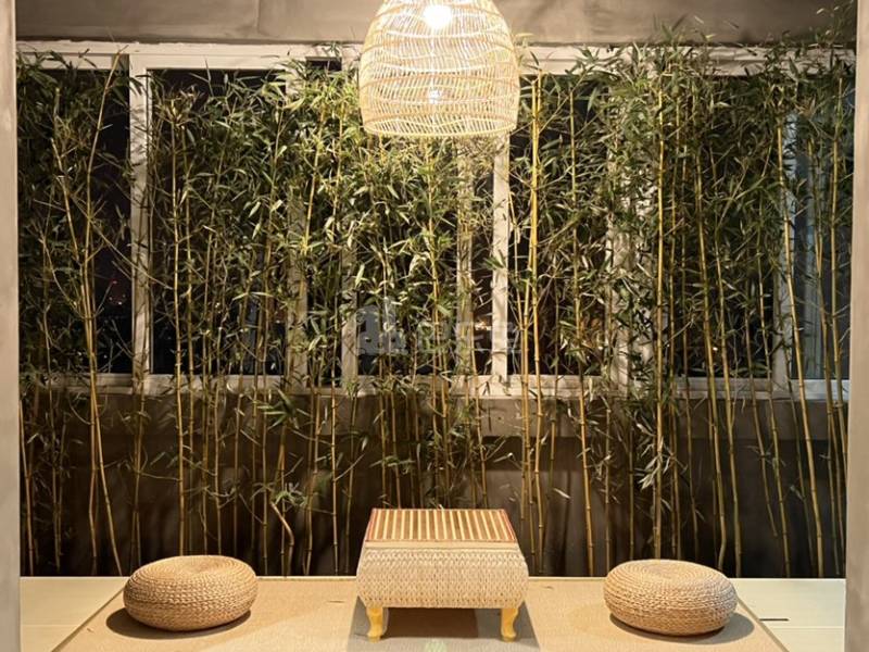 柳林公寓6804996卧室图4