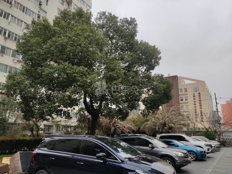 柳林公寓6804996周边环境图21