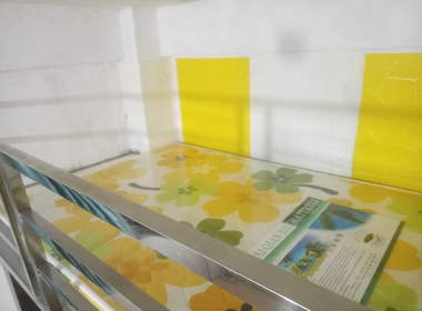 车陂双社大街19号 1室0厅1卫