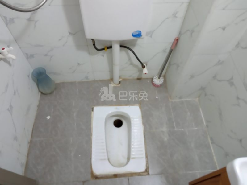 鹤边员村军民西路45号6838279卫生间图11