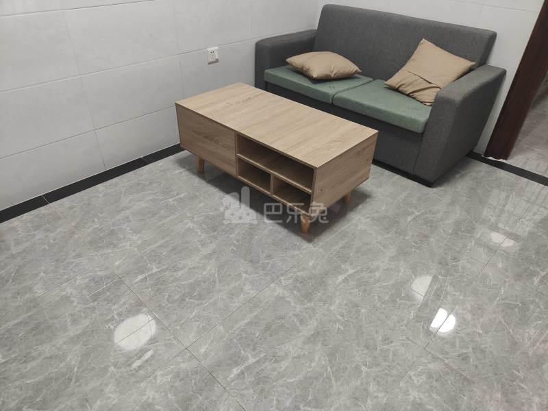 江夏东一街北二十六巷4号6852728客厅图8