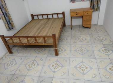 嘉禾望岗彭西一街五巷9号 4室1厅4卫