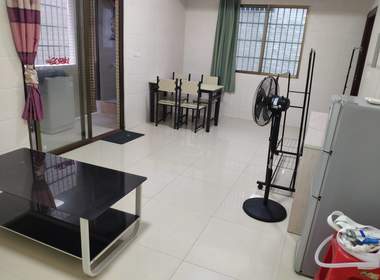 望岗西岭街八巷5号 2室1厅1卫