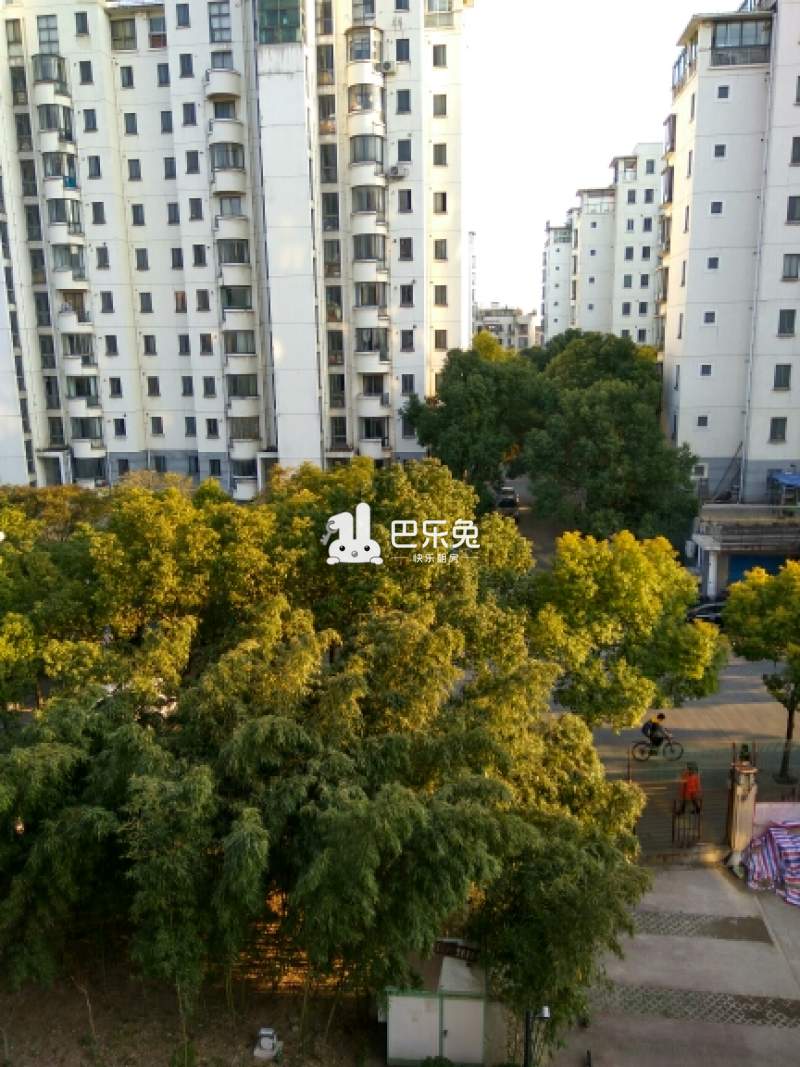 上海闵行_柏林春天二期(春申复地城南区)_1室0厅0卫_合租朝北_都市路