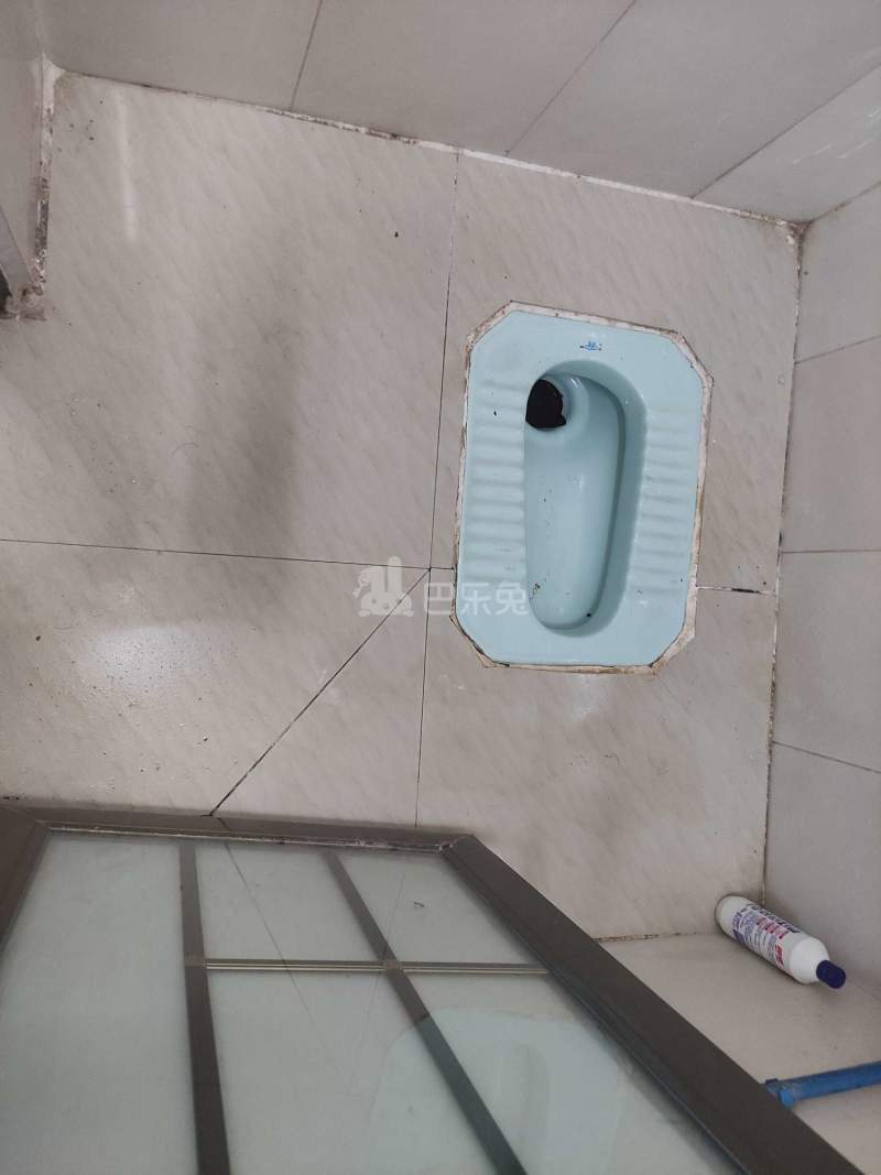 江夏村荷木岭五巷9号6919622卫生间图9