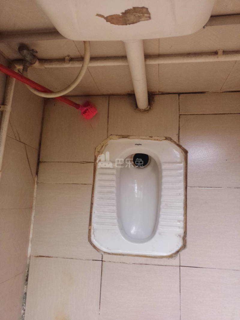 龙洞西大街72号6945954卫生间图6