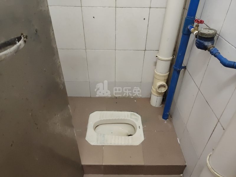 大埔北约八巷19号6957505卫生间图25