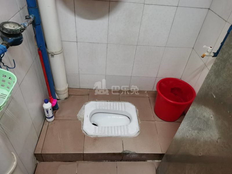 大埔北约八巷19号6957508卫生间图12