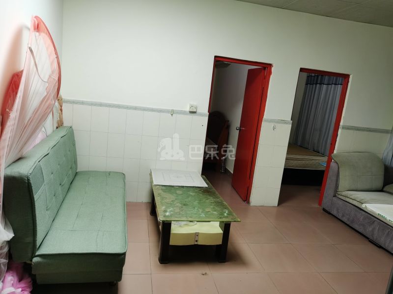 大埔北约八巷19号6957508客厅图6