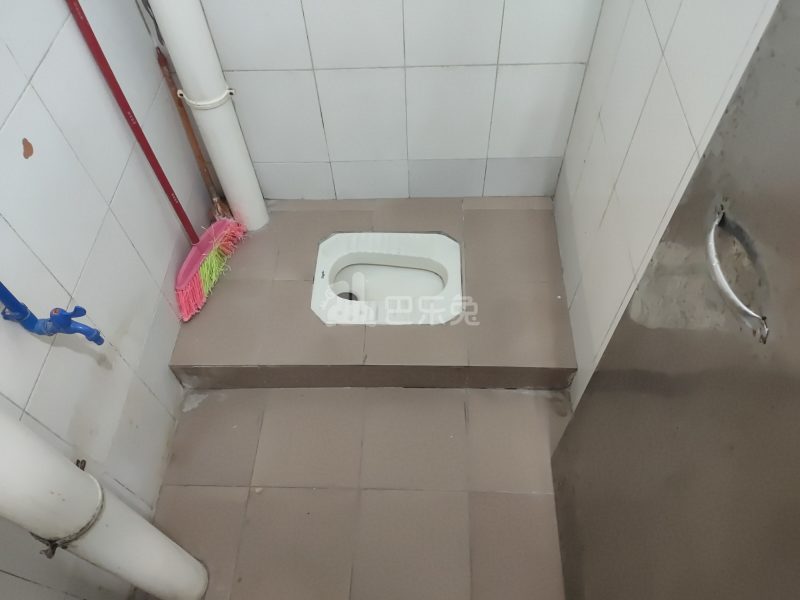 大埔北约八巷19号6957512卫生间图4