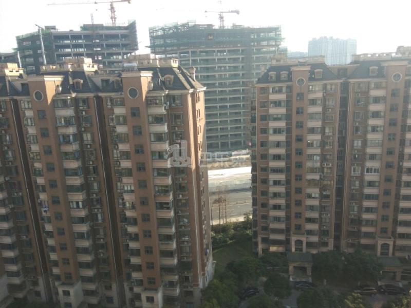 金桥新城622828周边环境图22