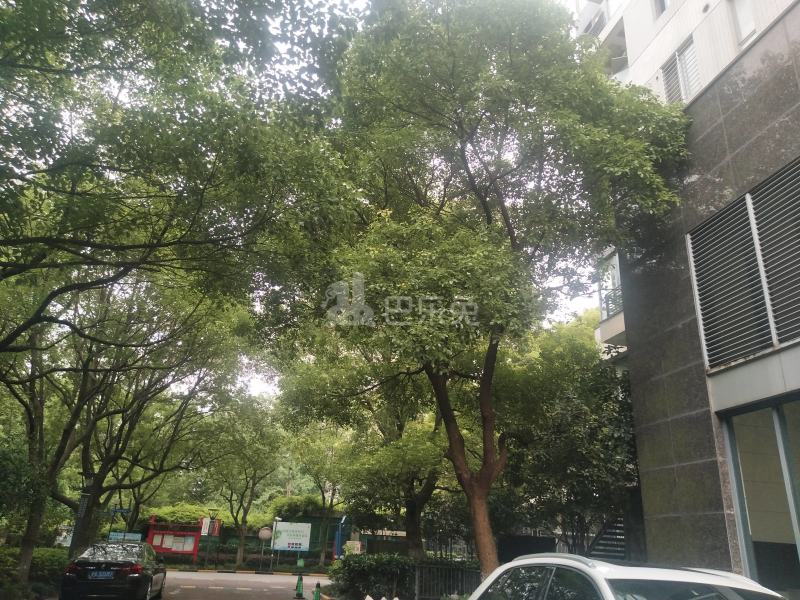 中环一号一期698551周边环境图13