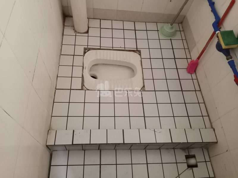 柏雅公寓（程界东新东巷6号）6994864卫生间图7