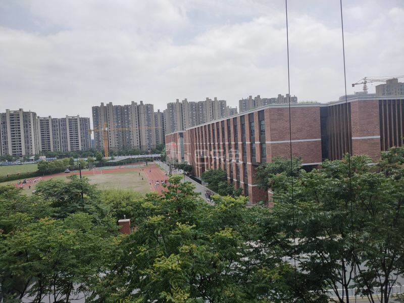 翁梅新苑三区7008986周边环境图6