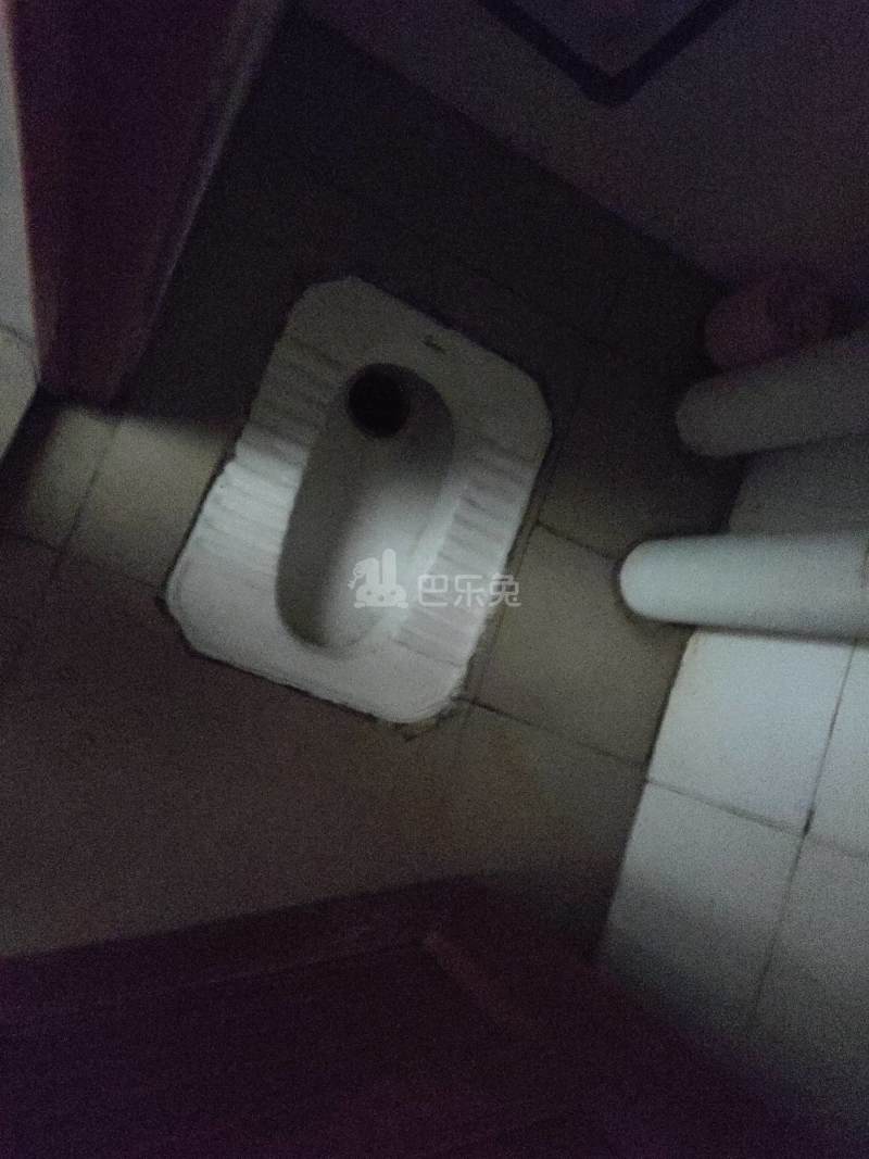 江夏西头塘北二巷1号7050063卫生间图4