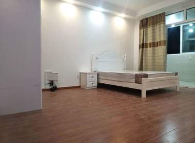 榴莲公寓（二联家园店） 1室0厅1卫