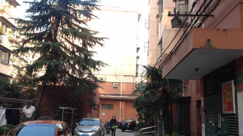 新泾一村（绿新小区）14736715周边环境图7