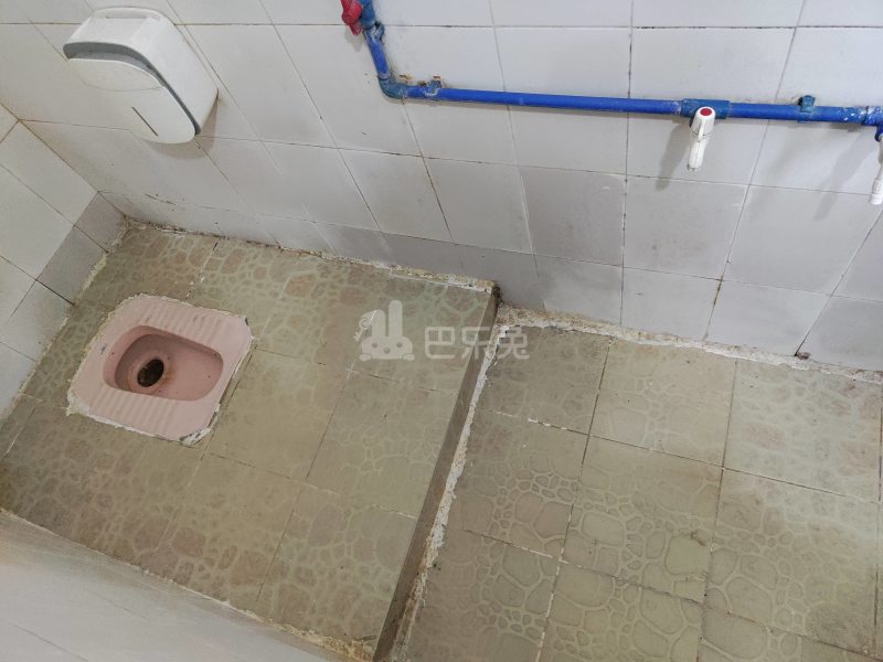 江夏青龙大街三巷10号7119924卫生间图6