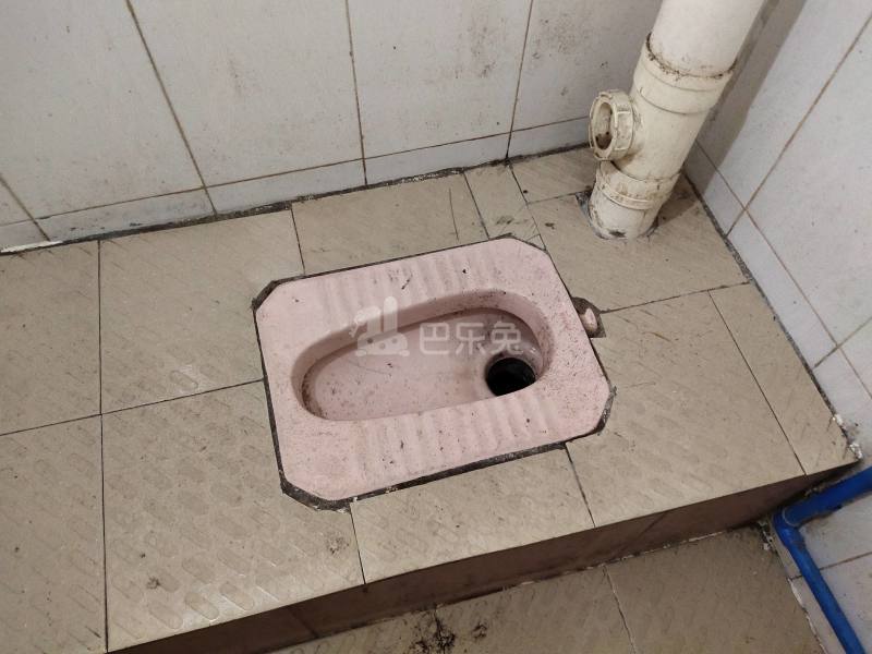 龙诚汇物业（龙洞村龙洞聚贤小区二巷9号）7121953卫生间图4