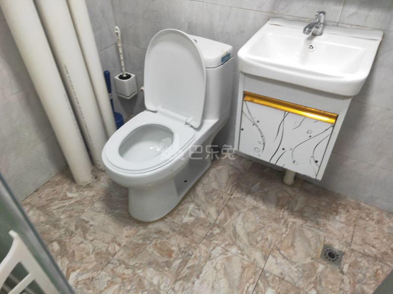 大埔南约塘边二巷4-1号7122390卫生间图4