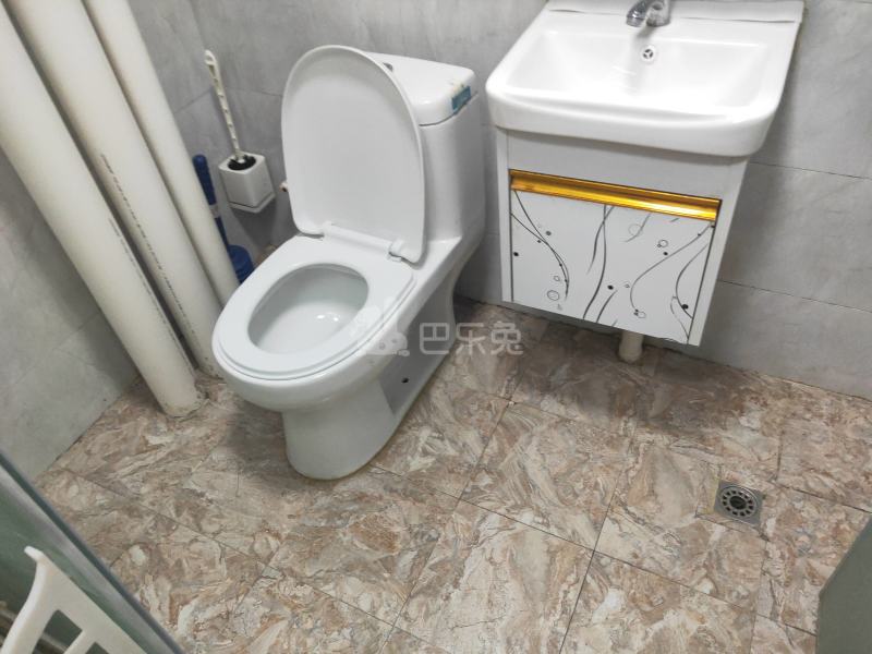 大埔南约塘边二巷4-1号7122390卫生间图5