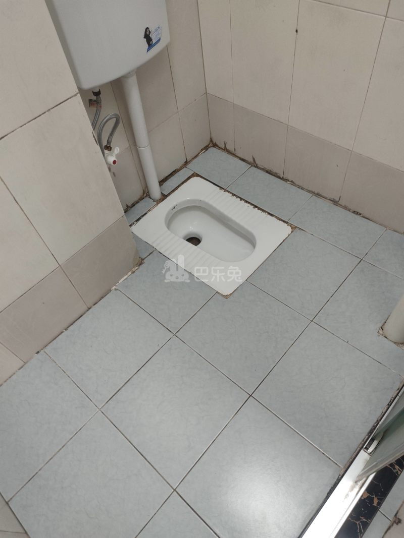 珠村中东新街八巷12号7127352卫生间图7