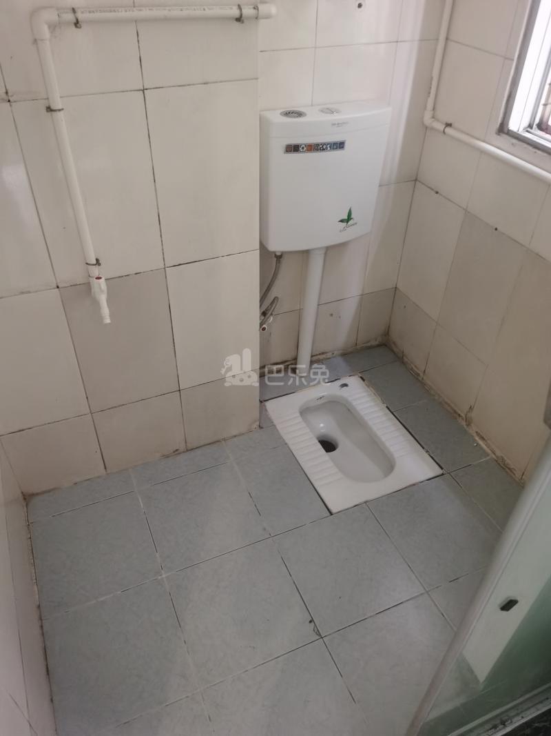 珠村中东新街八巷12号7127353卫生间图7