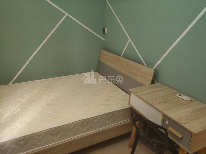 珠村中东新街八巷12号7127367卧室图1