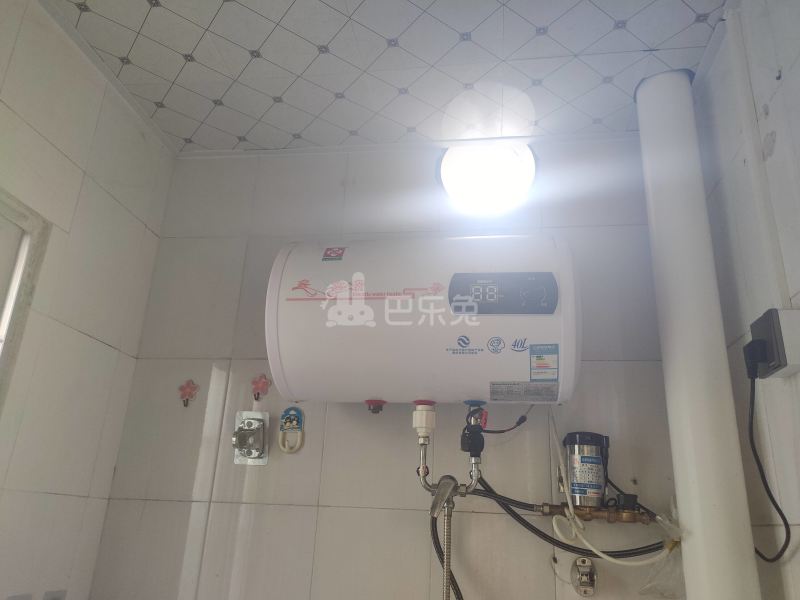 珠村中东新街八巷12号7127367卫生间图9