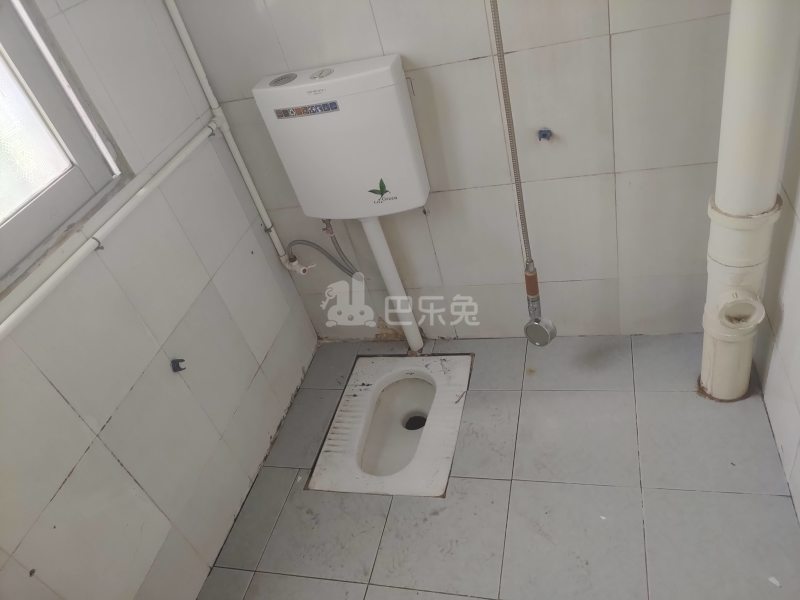 珠村中东新街八巷12号7127367卫生间图8