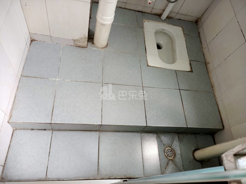 珠村中东新街八巷12号7127371卫生间图6