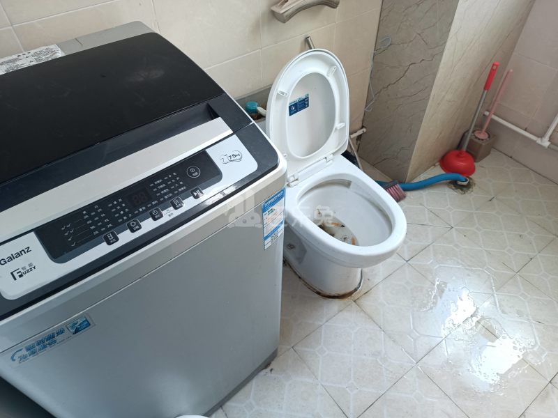 志成花苑知雅汇550538卫生间图8