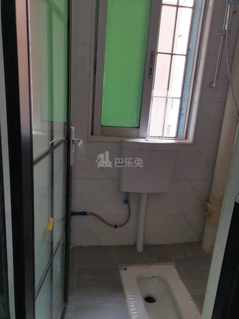 江夏北一路东一巷6号7133435卫生间图7