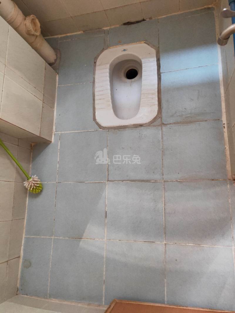 珠村中东新街十七巷1号7134465卫生间图6