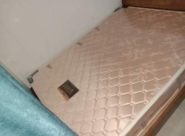 沙涌南大塘基1号 1室1厅1卫