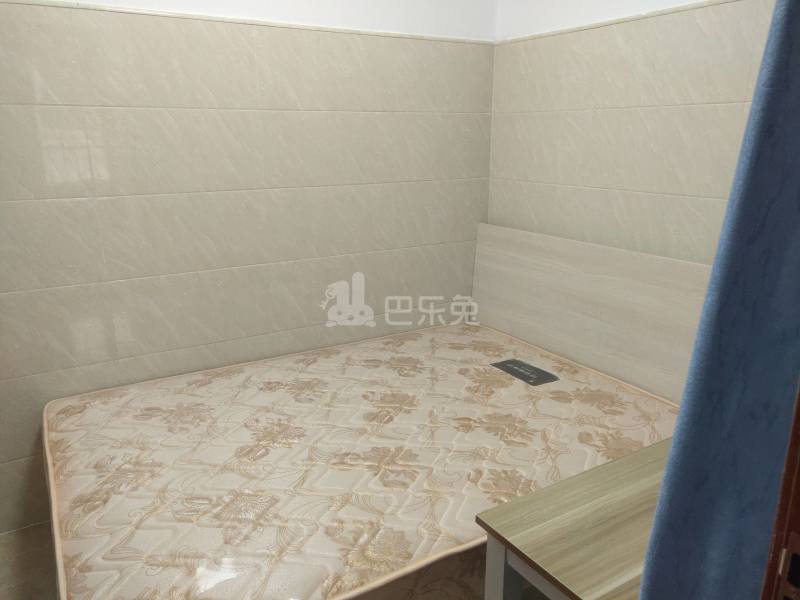 东平北路横岗新中街1号7150548卧室图3