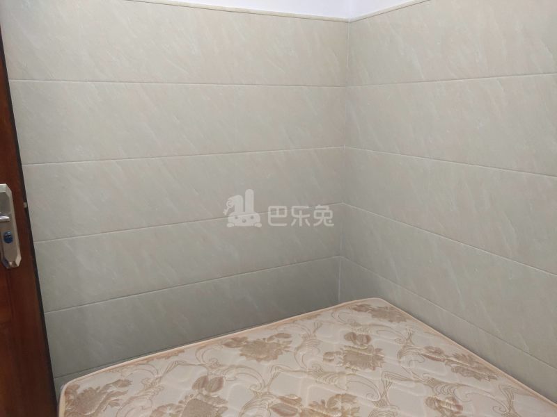 东平北路横岗新中街1号7150548卧室图5