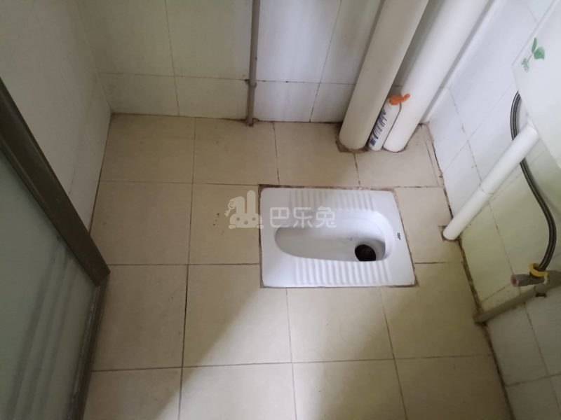 大埔东约北街2号7152823卫生间图4