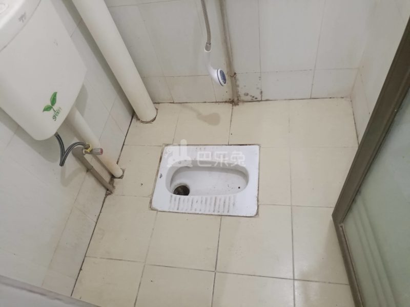 大埔东约北街2号7152827卫生间图4