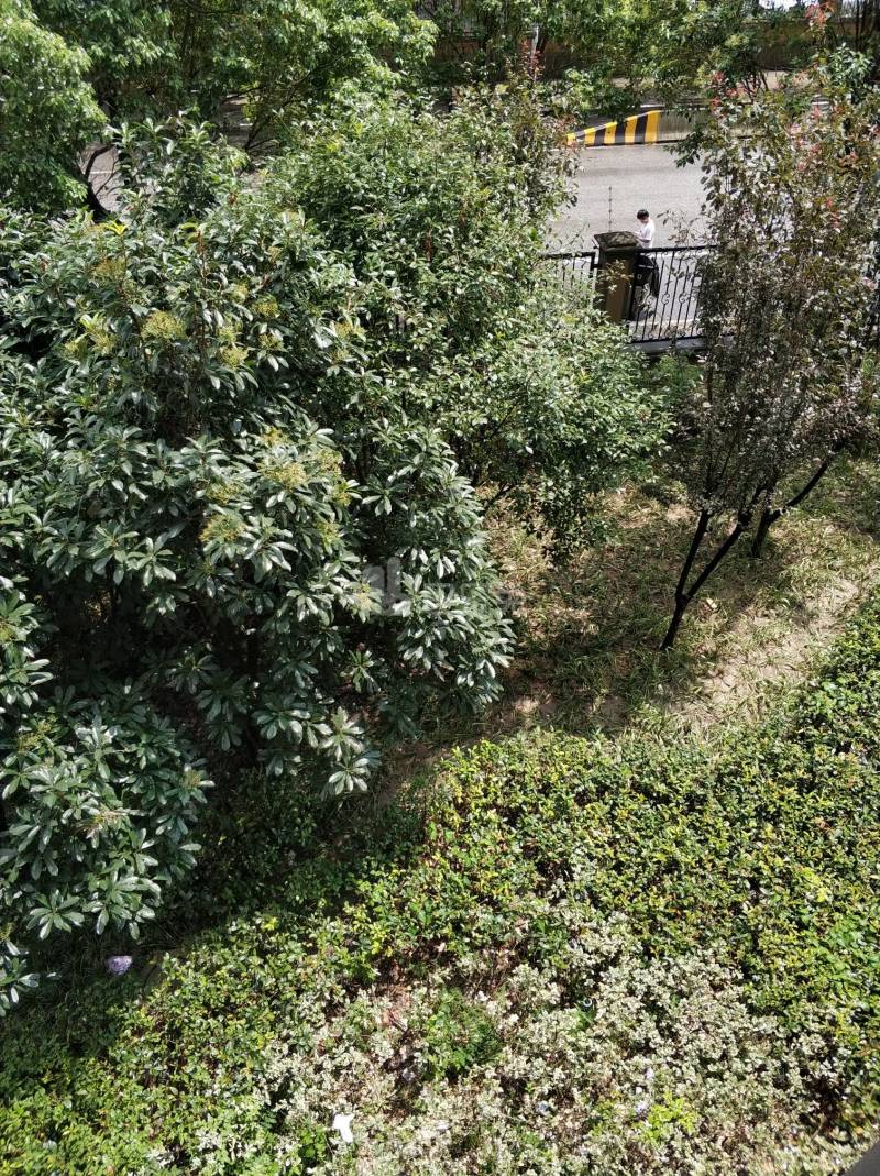 翔瑞新苑北区7163066周边环境图8